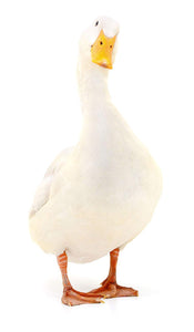 Dekofigur Gans