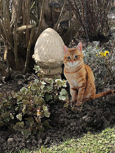 Roter Kater Steckschild im Garten