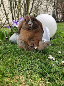 Gartenstecker Hase